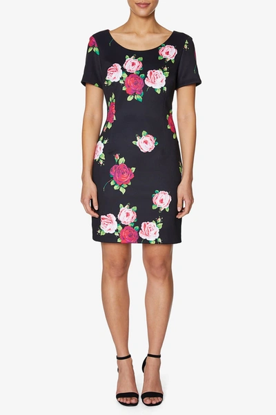 Betsey Johnson Floating Roses Scuba Dress In Floral Bouquet