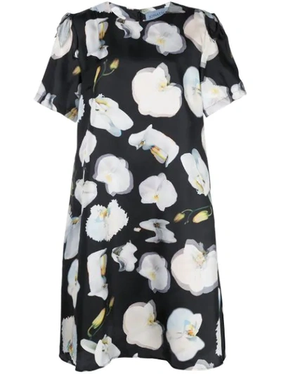 Jonathan Cohen Abstract Orchid Print Dress In Black ,white