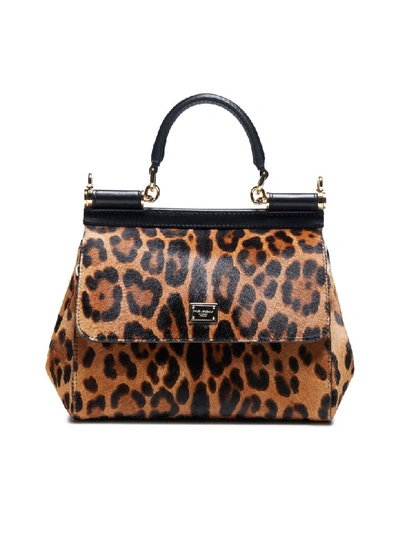 Dolce & Gabbana Sicily Leopard Print Ponyskin And Leather Bag In Leo+leo