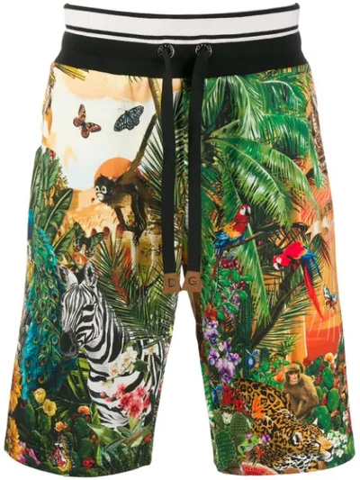 Dolce & Gabbana Printed Cotton Jersey Shorts In Green