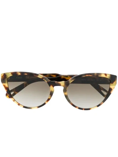 Chloé Willow Cat-eye Frame Sunglasses In Brown