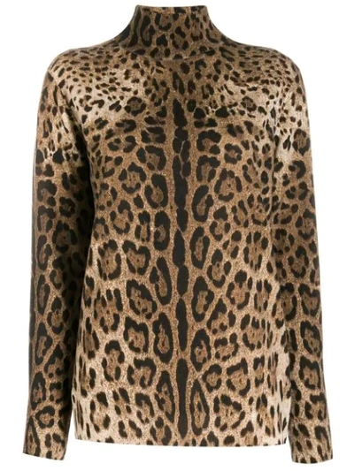 Dolce & Gabbana Leopard Print Jumper In Brown