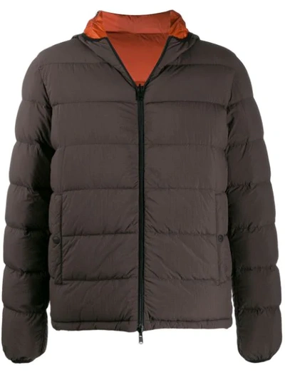 Herno Reversible Zipped Jacket In Brown
