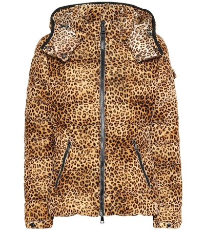 Moncler Bady Leopard Print Velvet Down Jacket In Animal Print