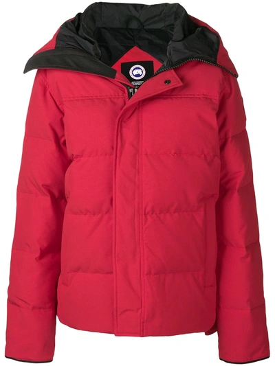 Canada Goose Mcmillan Parka In 11 - Red