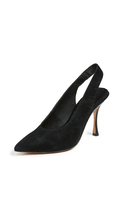 Alice And Olivia Innet Suede Slingback Pumps In Black
