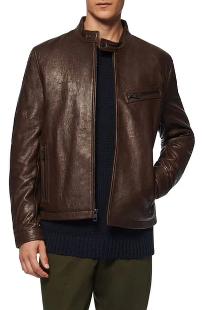 Andrew Marc Cumberland Leather Racer Jacket In Espresso