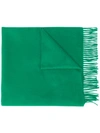 Begg & Co Fringed Cashmere Scarf In Green