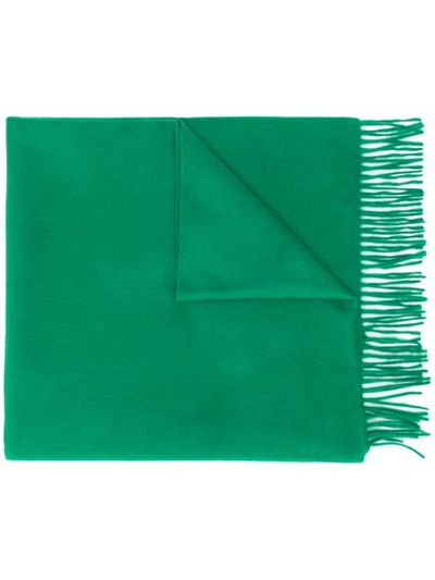 Begg & Co Fringed Cashmere Scarf In Green