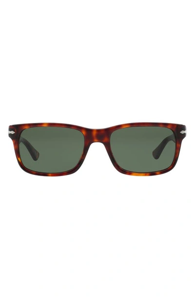 Persol 55mm Havana Rectangular Sunglasses In Green