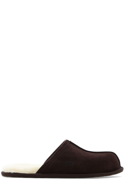 Ugg Scuff Suede Slippers In Brown