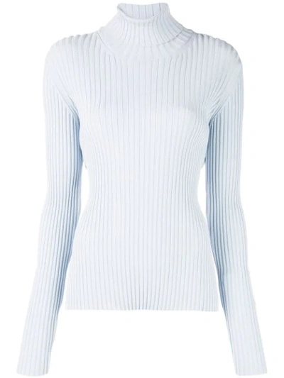 Proenza Schouler Button-detailed Ribbed-knit Turtleneck Sweater In Pale