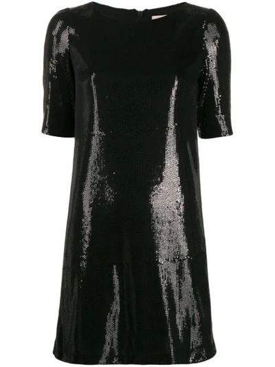 Blanca Sequin Embroidered Mini Dress In Black