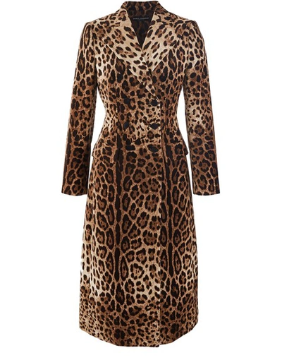 Dolce & Gabbana Leopard Coat In Multicolor