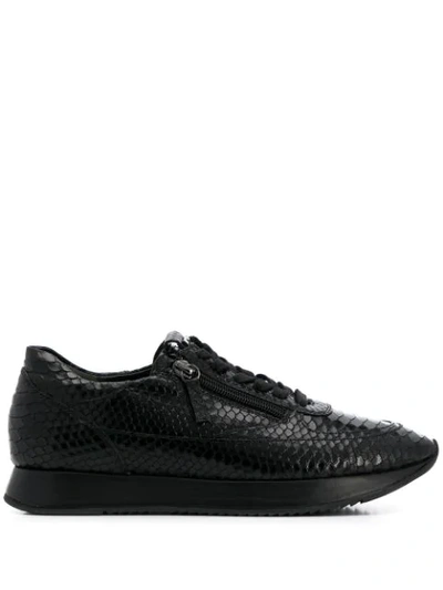 Hogl Embossed Croc-effect Trainers In Black