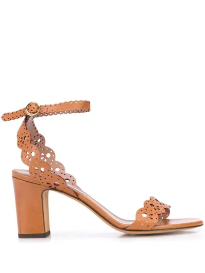 Tabitha Simmons Bobbin Cut-out Sandals In Brown