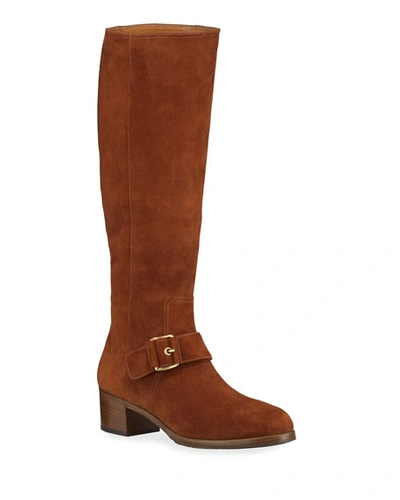 Gravati Tall Suede Buckle Boots In Brown