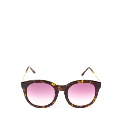 Spektre Women's Brown Acetate Sunglasses