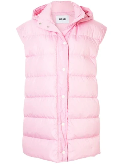 Msgm Hooded Padded Gilet In Pink