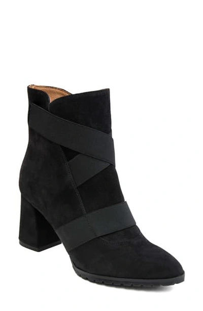 Andre Assous Women's Porter Strappy Pointed-toe Block-heel Booties In Black Suede