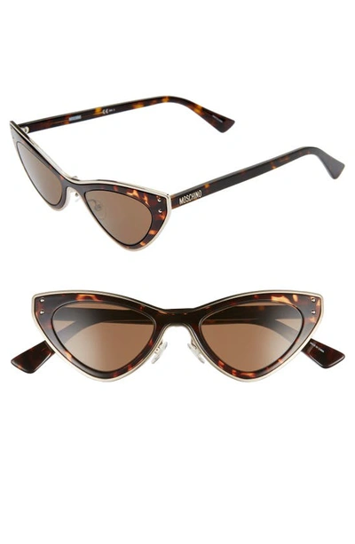 Moschino 50mm Cat Eye Sunglasses In Dkhavana/ Brown
