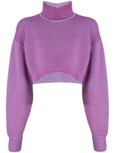 Nagnata Cropped Rib-knit Sweatshirt In Purple