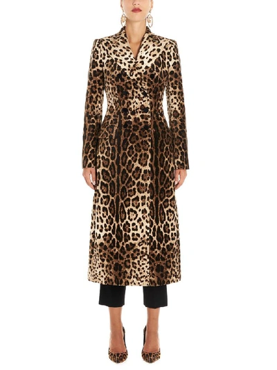 Dolce & Gabbana Animalier Printed Coat In Multi