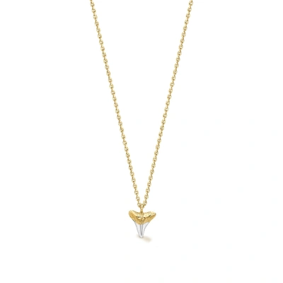 Missoma Lucy Williams Shark Tooth Necklace In Gold