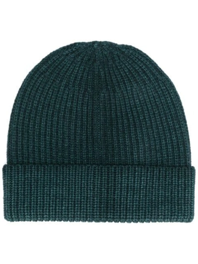Altea Ribbed Knit Hat In Green