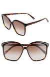 Tommy Hilfiger 57mm Gradient Sunglasses In Dkhavana/ Brown Gradient
