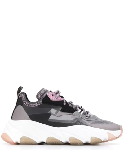 Ash Low-top Sneakers In Grey