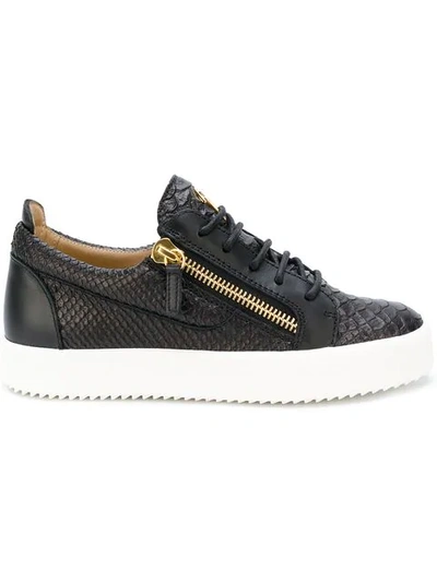 Giuseppe Zanotti Frankie Low-top Sneakers In Black