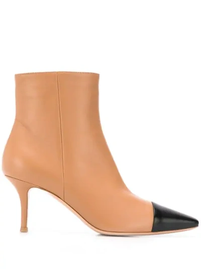 Gianvito Rossi Two Tone Pointed Ankle Boots In Brown