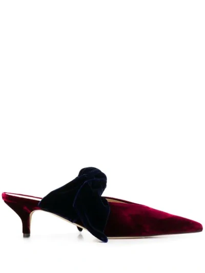 Gia Couture Bandana Girl 55mm Velvet Mules In Red ,blue