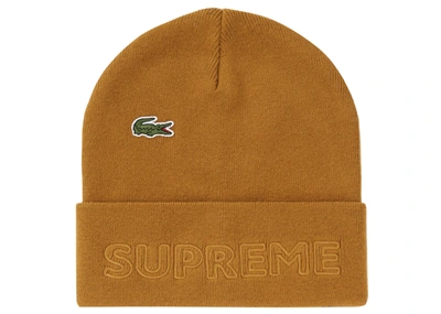 Pre-owned Supreme  Lacoste Beanie Gold