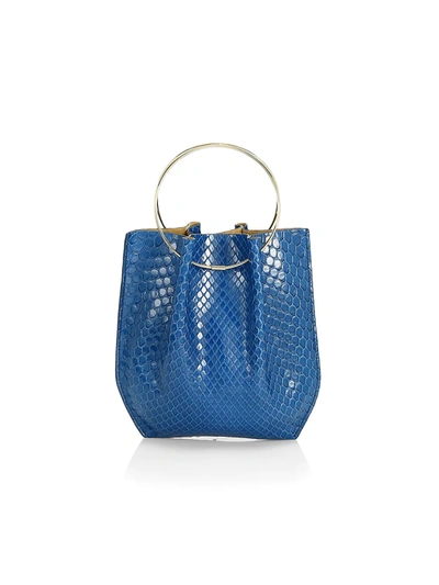 The Row Micro Flat Circle Python Bucket Bag In Blue