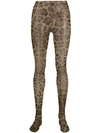 Dolce & Gabbana Leopard Print Tights In Hy13m Leo New