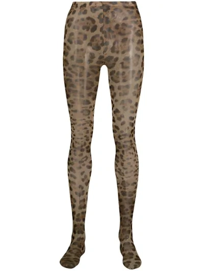 Dolce & Gabbana Leopard Print Tights In Hy13m Leo New