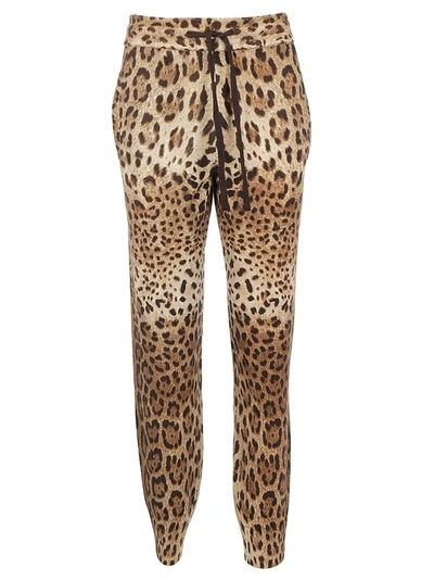 Dolce & Gabbana Animalier Printed Track Pants In Multi