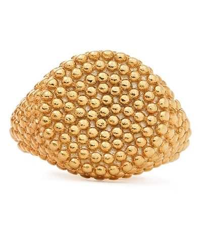 Maria Stern Signet Textured Women Gold Ring In Not Applicable