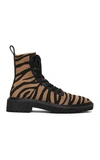 Loeffler Randall Brady Zebra-stripe Knit Combat Boots In Tiger