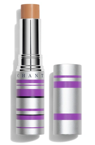 Chantecaille Real Skin + Eye And Face Stick 4g (various Shades) - 8 In 08