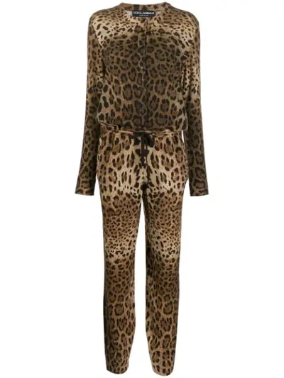 Dolce & Gabbana Leopard Print Cashmere Jumpsuit In Brown