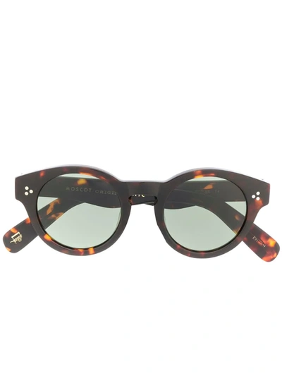 Moscot Grunya Round Sunglasses In Brown