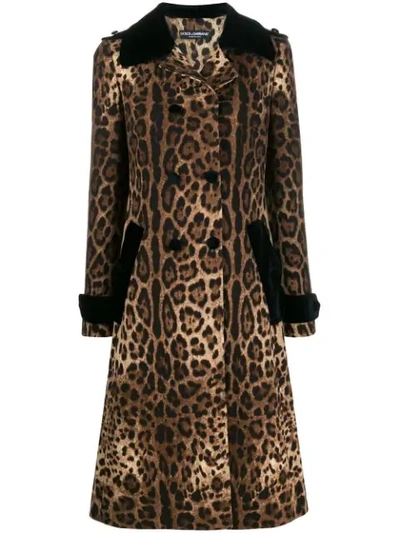Dolce & Gabbana Leopard Print Trench Coat In Brown
