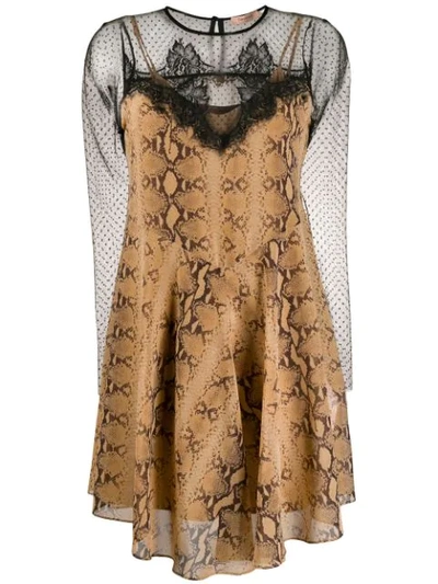 Twinset Snakeskin-print Lace Detail Dress In Brown