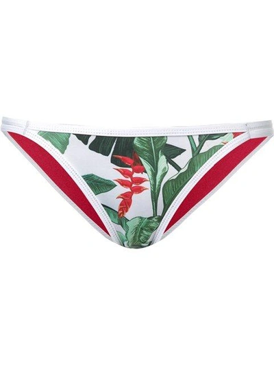 Duskii Oasis And Ochre Regular Bikini Bottom In Palma Floral