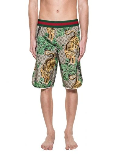 Gucci Bengal Print Shorts In - Brown |