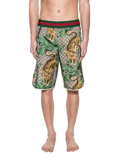 Gucci bengal store swim shorts