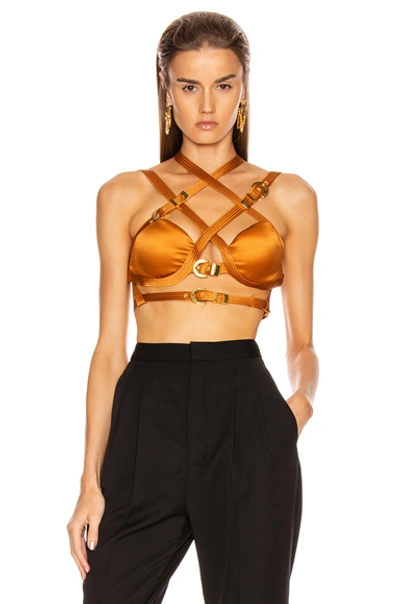 Versace Bondage Bra Top In Caramello